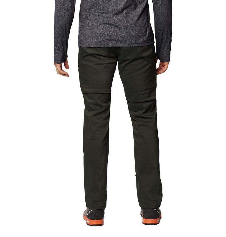 Pantalon Hardwear AP Homme, Color: Black Sage, image 2