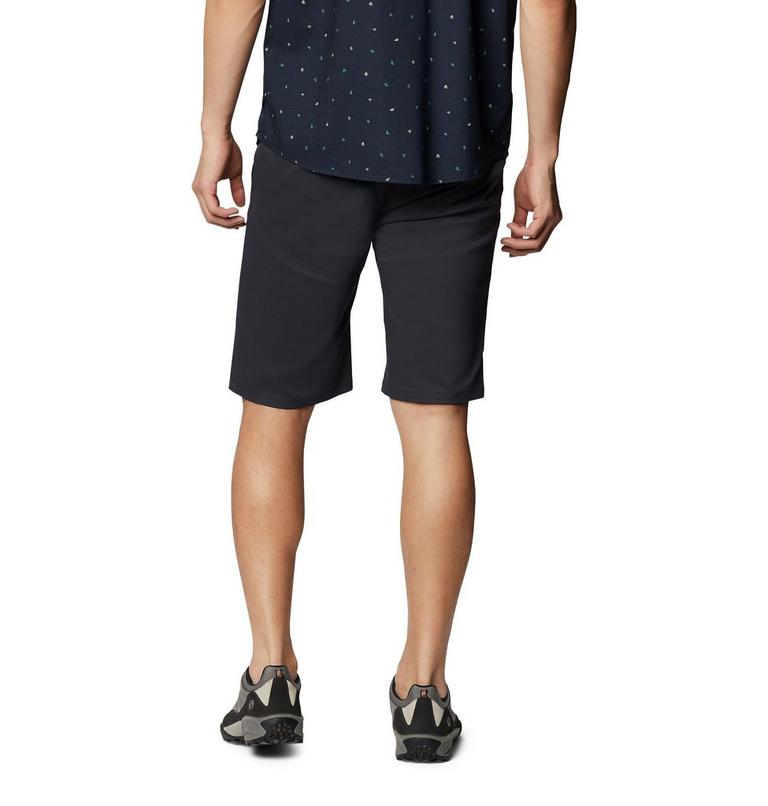 Men's Hardwear AP Short, Color: Dark Storm, image 2