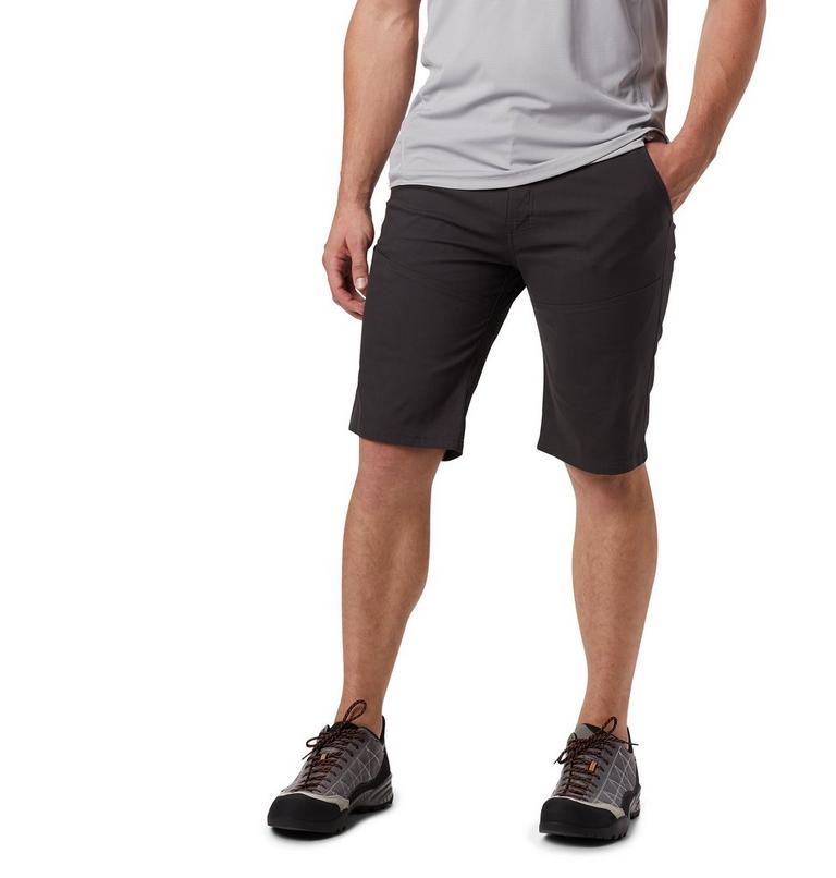 Hardwear AP Short | 012 | 31, Color: Void, image 1