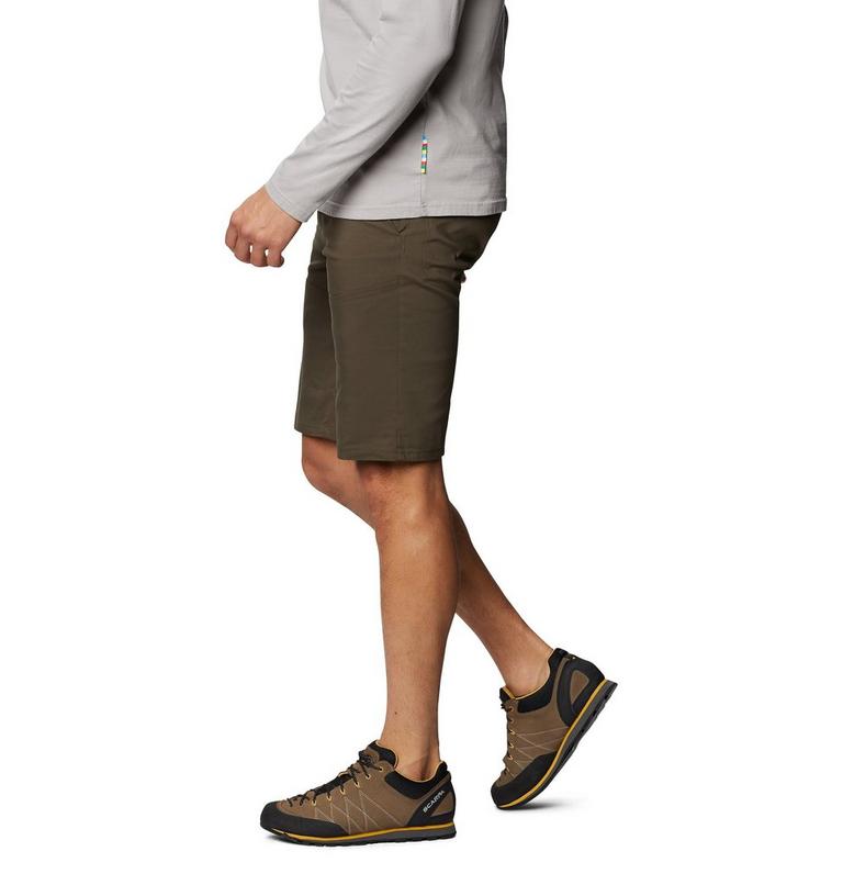 Hardwear AP Short | 205 | 30, Color: Ridgeline, image 3