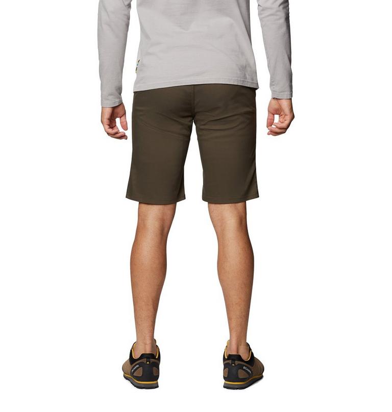 Hardwear AP Short | 205 | 30, Color: Ridgeline, image 2