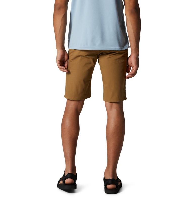 Men's Hardwear AP Short, Color: Corozo Nut, image 2