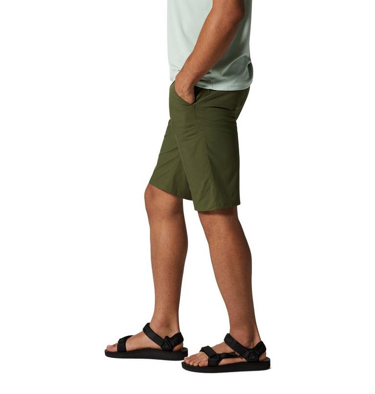 Hardwear AP Short | 347 | 36, Color: Surplus Green, image 3