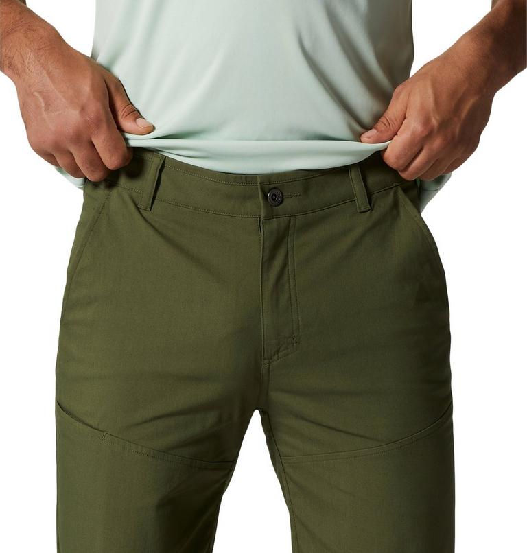 Hardwear AP Short | 347 | 36, Color: Surplus Green, image 4