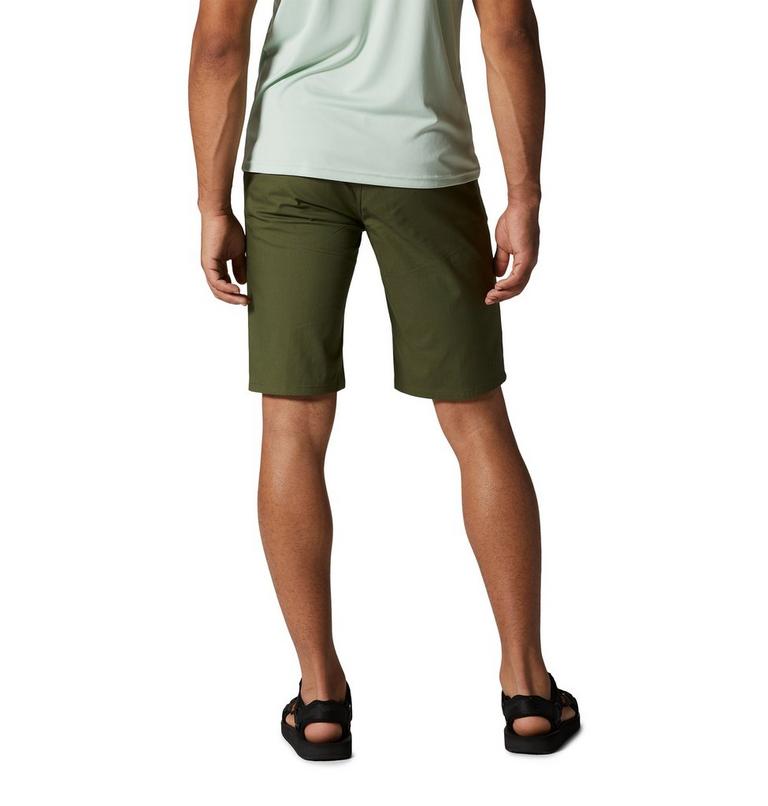 Hardwear AP Short | 347 | 36, Color: Surplus Green, image 2