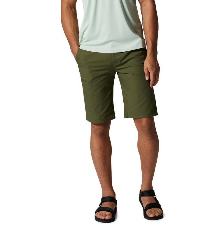 Hardwear AP Short | 347 | 36, Color: Surplus Green, image 1