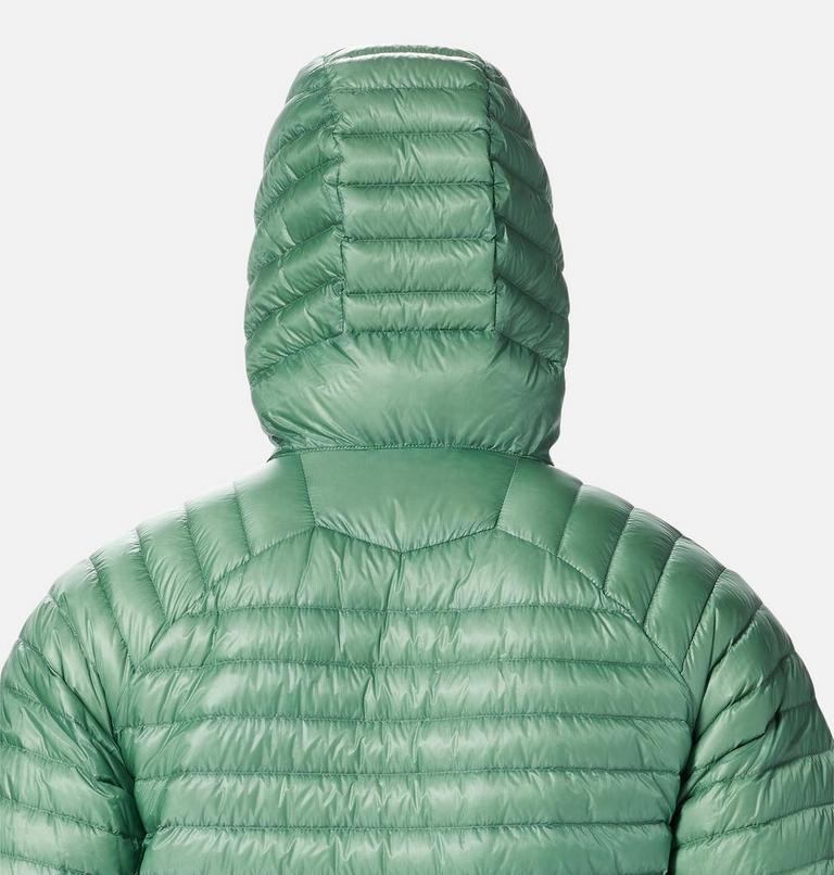 Men's Ghost Whisperer/2 Hoody, Color: Aloe, image 5