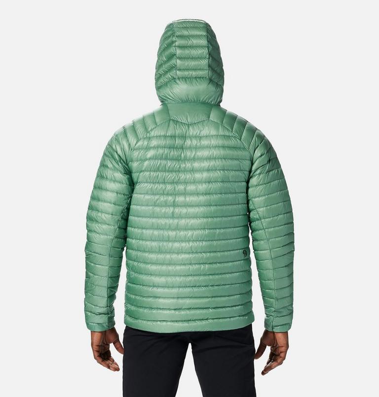 Men's Ghost Whisperer/2 Hoody, Color: Aloe, image 2