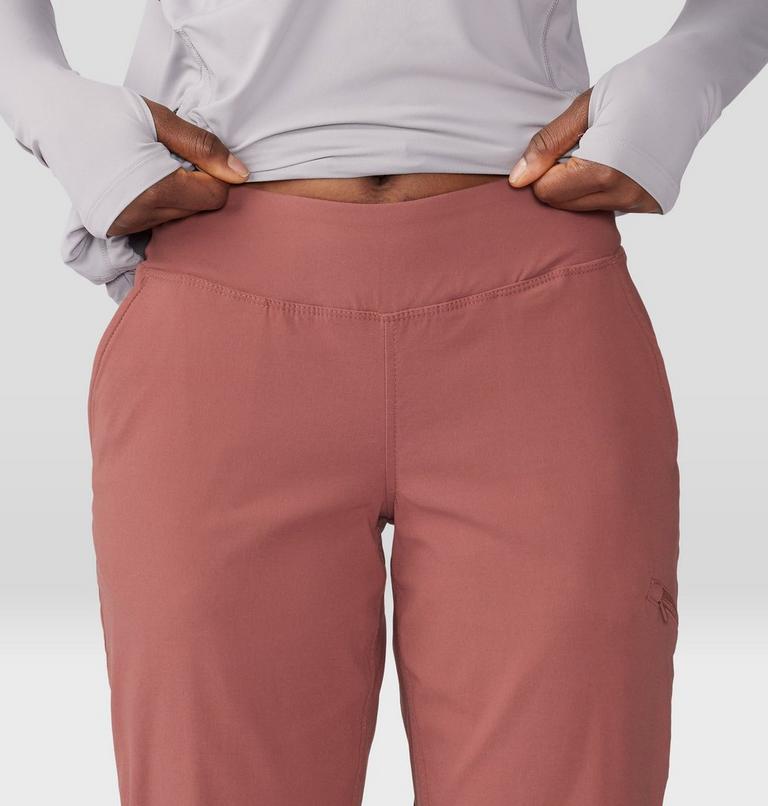 Women's Dynama/2 Pant, Color: Clay Earth, image 4