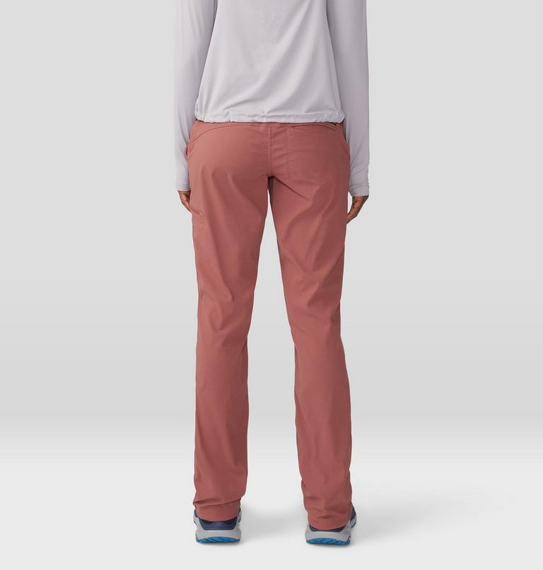 Women's Dynama/2 Pant, Color: Clay Earth, image 2