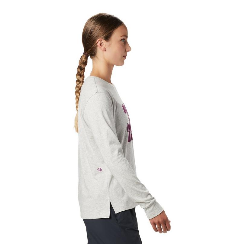 Women's MHW/Tomomi Long Sleeve T-Shirt, Color: Heather Grey, image 3