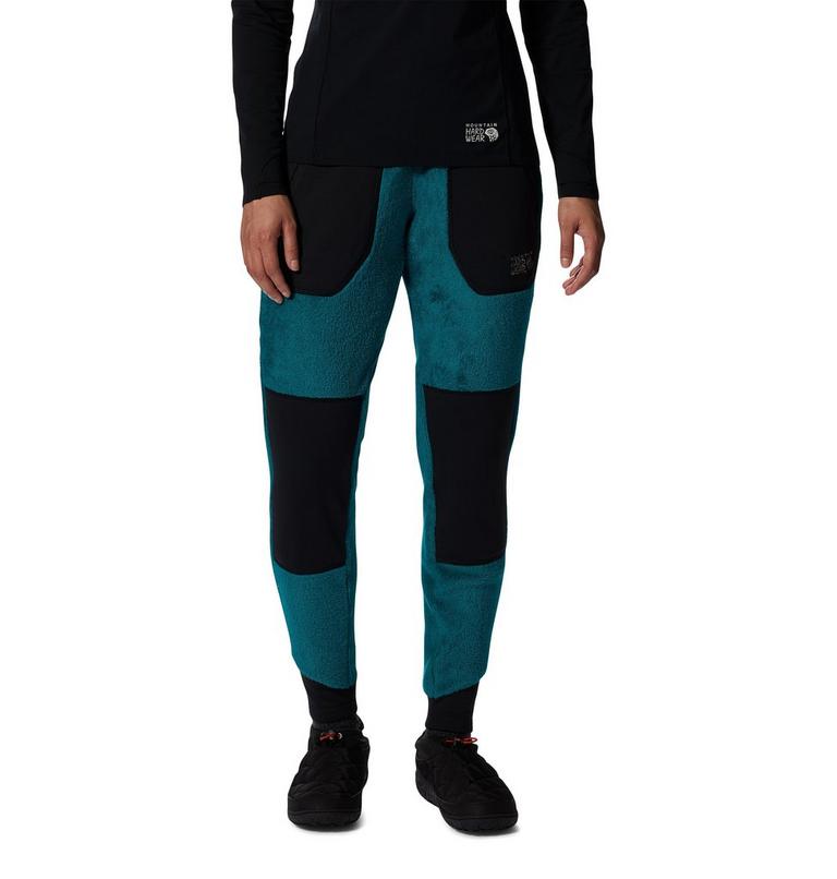 Women's Polartec® High Loft® Pant, Color: Botanic, image 1