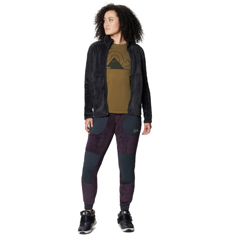 Women's Polartec® High Loft® Pant, Color: Blurple, image 5