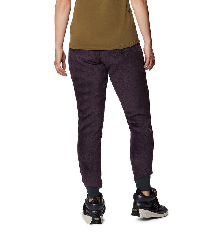 Women's Polartec® High Loft® Pant, Color: Blurple, image 2