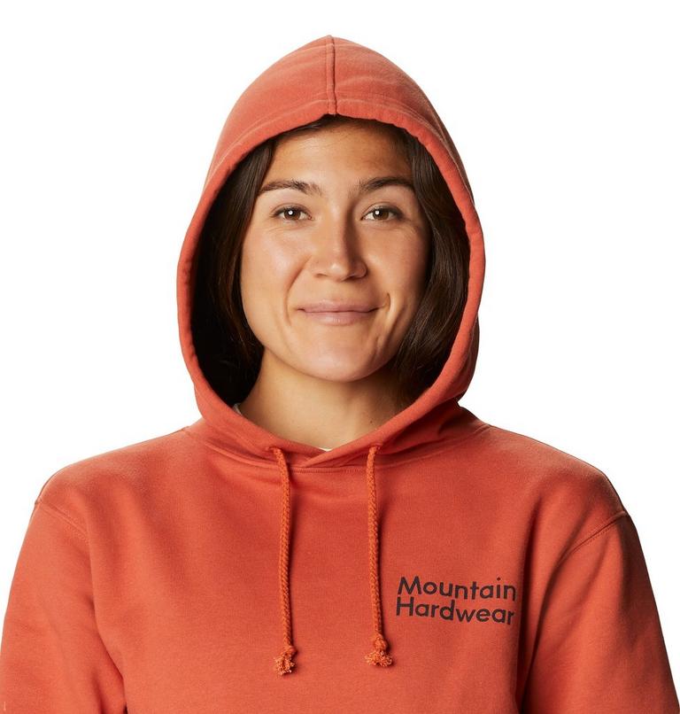 Women's Desertscape Pullover Hoody, Color: Dark Clay, image 4