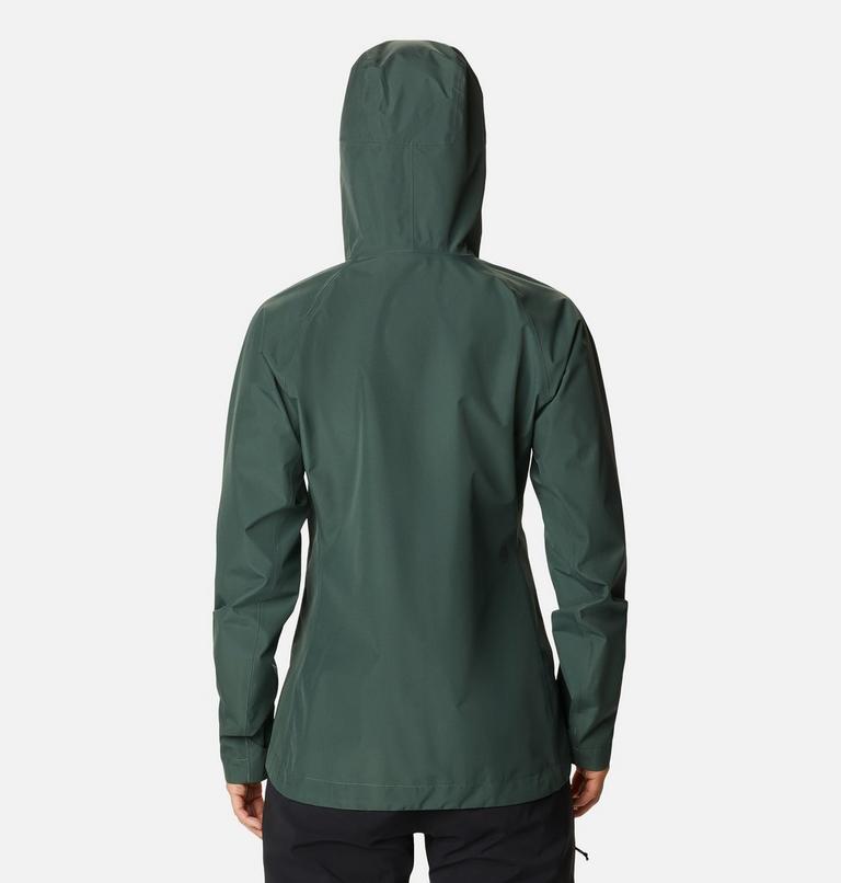 Manteau Exposure/2 Gore-Tex Paclite® Femme, Color: Black Spruce, image 2