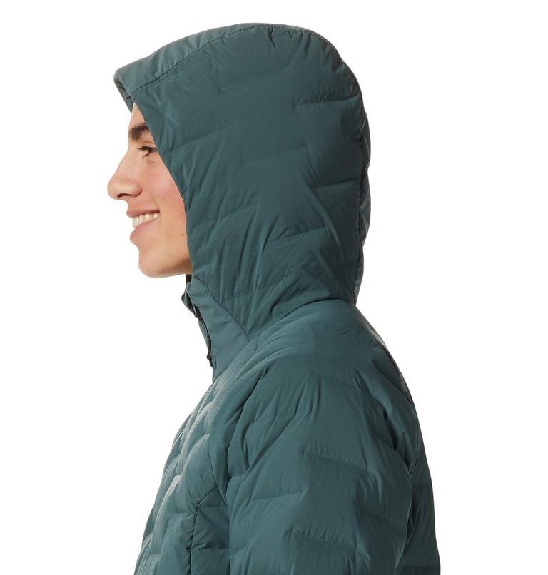 Men's Stretchdown Hoody, Color: Black Spruce, image 5