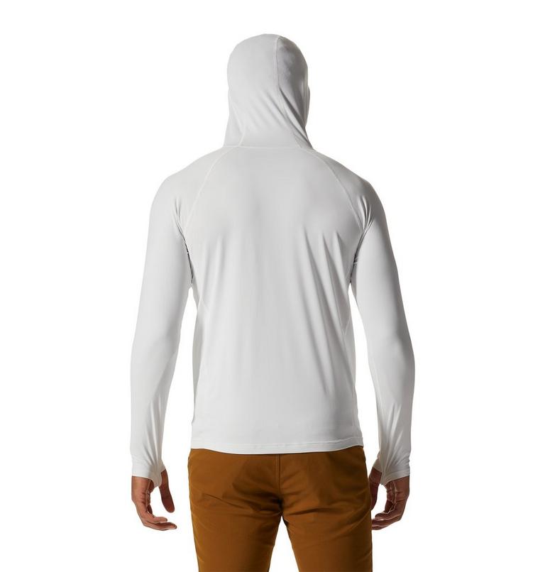Men's Crater Lake Hoody, Color: Fogbank, image 2