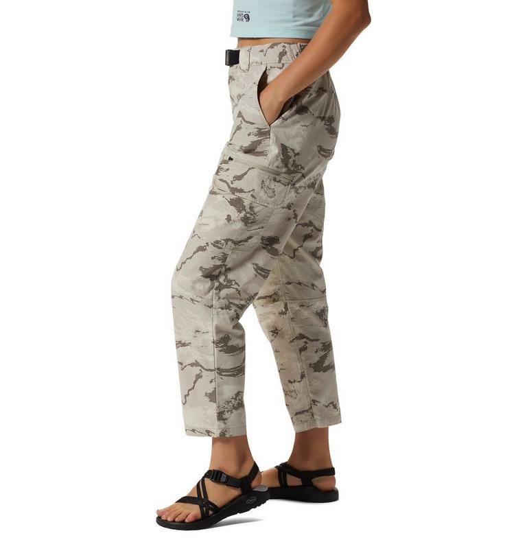 Cascade Pass Pant, Color: Dunes Crag Camo, image 3