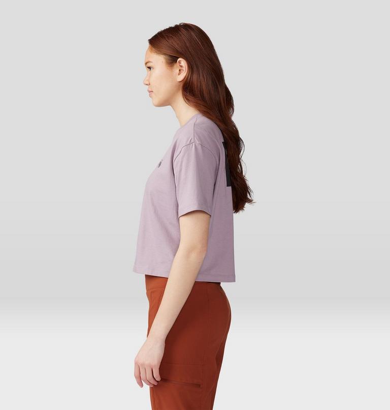 T-shirt court &agrave; manches courtes MHW Logo in a Box Femme, Color: Daze, image 3