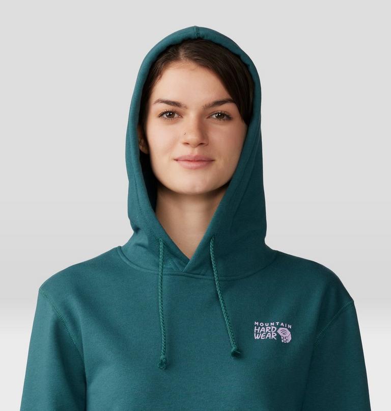 Women's MHW Logo Pullover Hoody, Color: Aqua Green, image 4