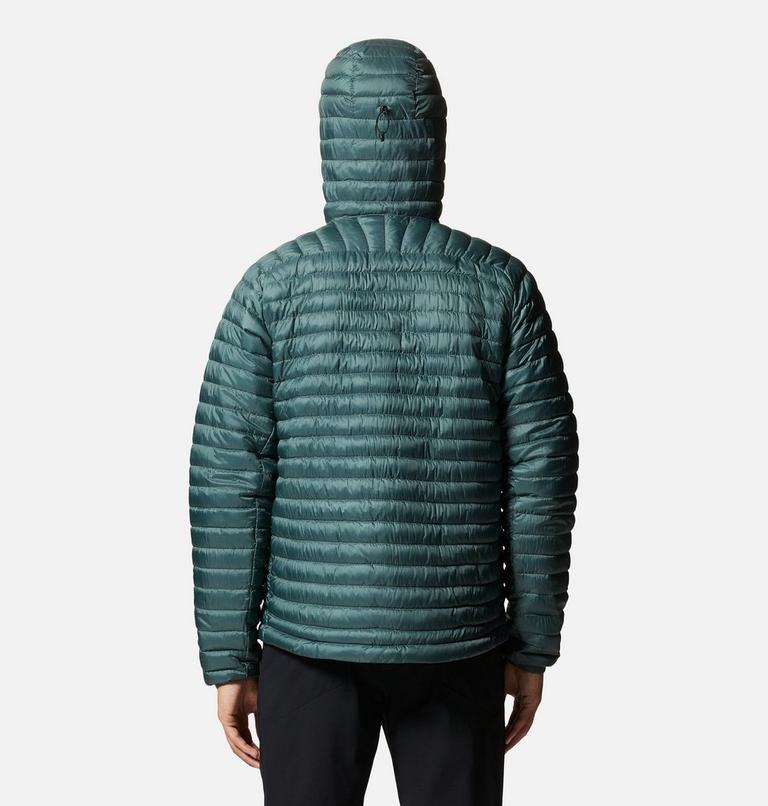 Alpintur Hoody | 352 | L, Color: Black Spruce, image 2