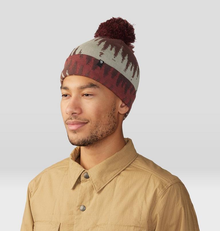 Gas Station Beanie, Color: Clay Earth Zig Zag, image 4