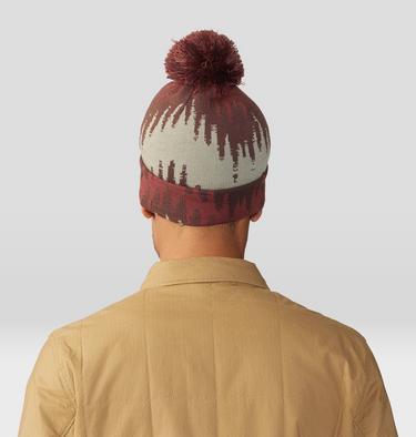 Gas Station Beanie, Color: Clay Earth Zig Zag, image 15
