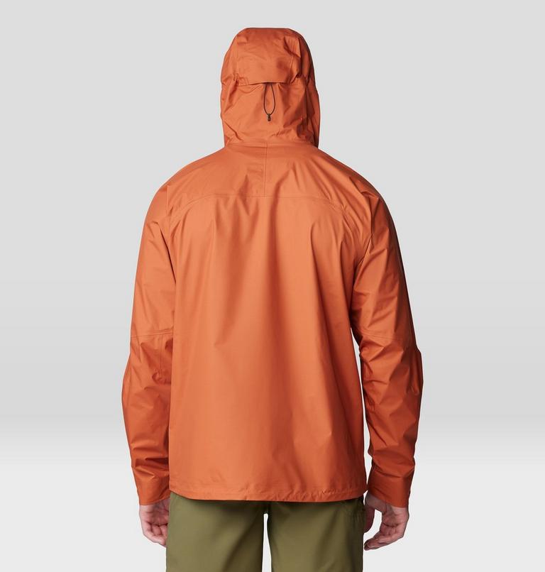 Manteau Minimizer GORE-TEX Paclite&reg; Plus Homme, Color: Raw Carnelian, image 2