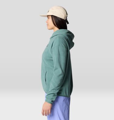Women's Microchill Hoody, Color: Blue Pine, image 4