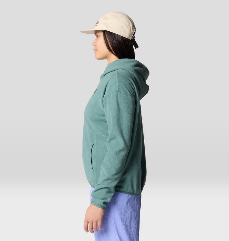 Women's Microchill Hoody, Color: Blue Pine, image 4
