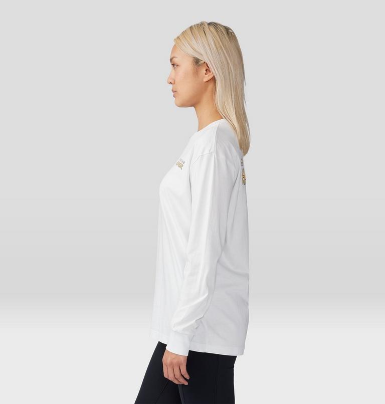 Logo Landscape Boxy Long Sleeve, Color: Fogbank, image 3