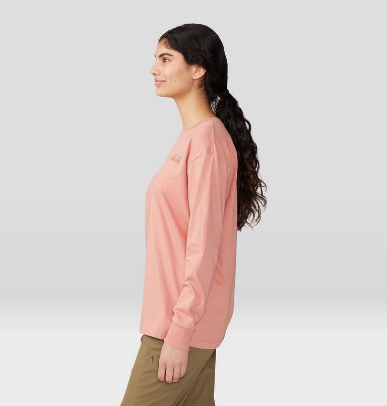 Logo Landscape Boxy Long Sleeve, Color: Washed Sun, image 3