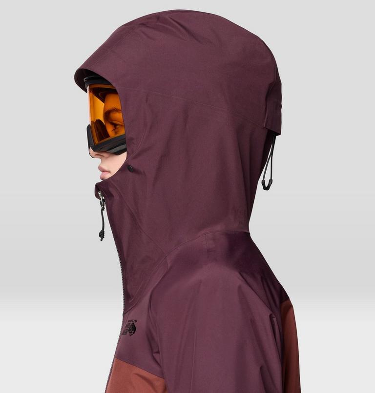 Women's Boundary Ridge GORE-TEX Jacket, Color: Blackberry, Bourbon Brown, image 15