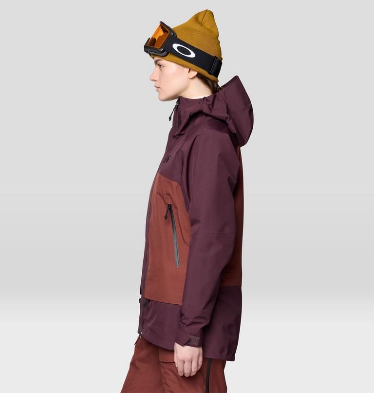 Women's Boundary Ridge GORE-TEX Jacket, Color: Blackberry, Bourbon Brown, image 4