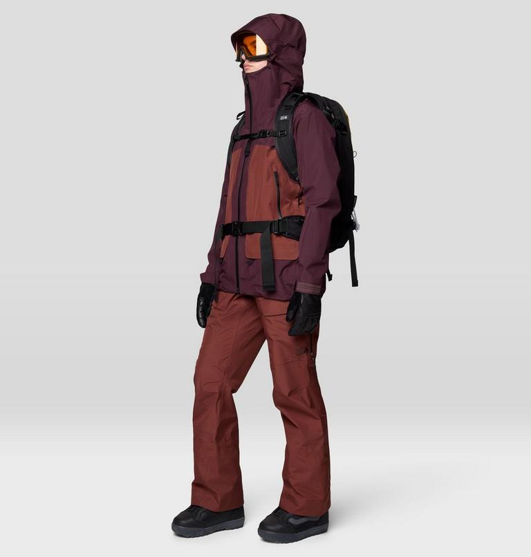 Women's Boundary Ridge GORE-TEX Jacket, Color: Blackberry, Bourbon Brown, image 2