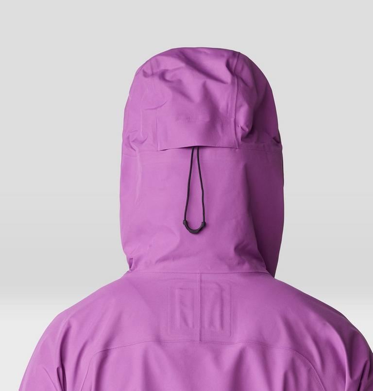 Women's Boundary Ridge GORE-TEX Jacket, Color: Lilac Glow, image 6
