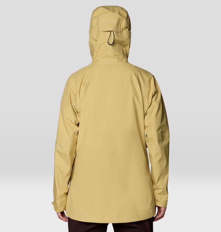 Women's Boundary Ridge GORE-TEX Jacket, Color: Prairie, image 3
