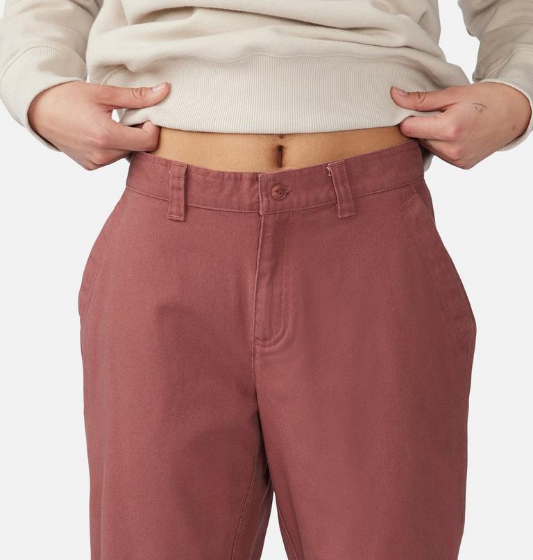 Women's Jackson Ridge Pant, Color: Clay Earth, image 4