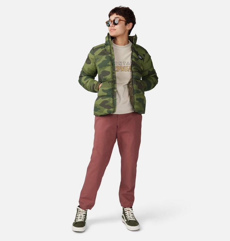 Women's Jackson Ridge Pant, Color: Clay Earth, image 8