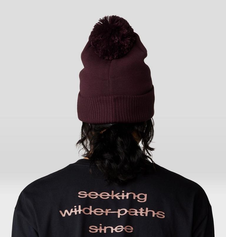 ApresPro Beanie, Color: 513, image 3