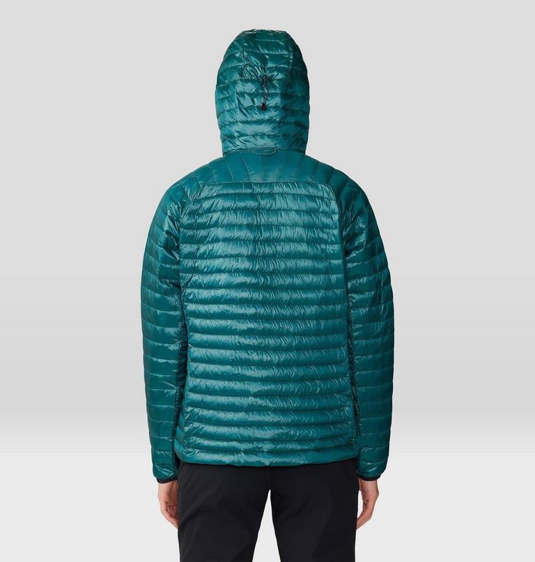 Women's Ventano Hoody, Color: Jack Pine, image 2