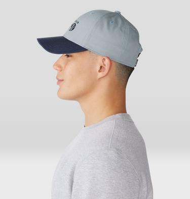 MHW Logo Cap, Color: Light Zinc, image 4