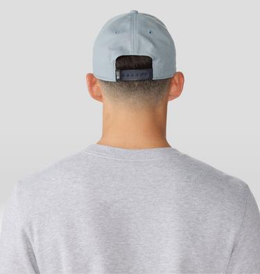 MHW Logo Cap, Color: Light Zinc, image 2