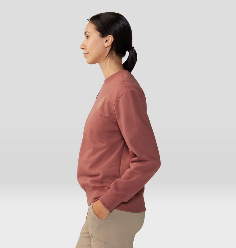 Women's Spiral Pullover Crew, Color: Clay Earth, image 3