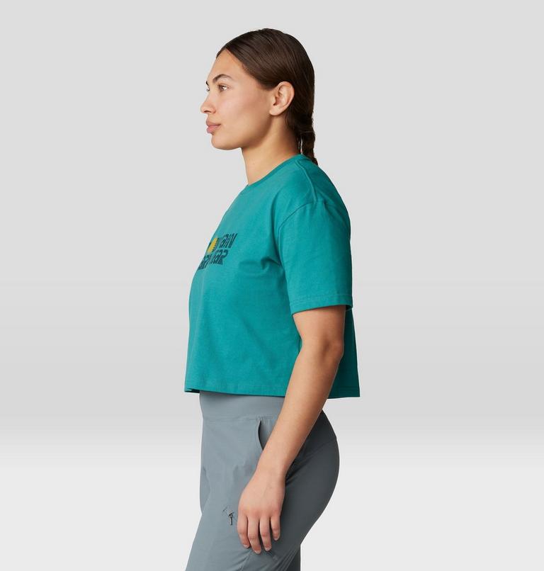 Women's Logo Plus Boxy crop, Color: Wintermint, image 3