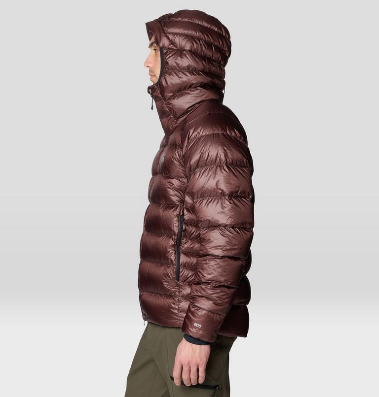 Men's Phantom Alpine Hooded Down Jacket, Color: Carob, image 4