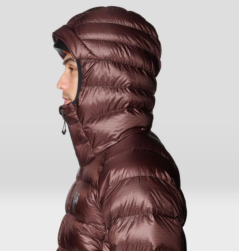 Men's Phantom Alpine Hooded Down Jacket, Color: Carob, image 8