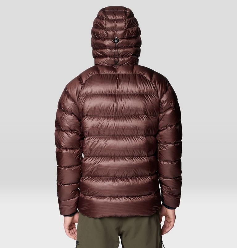 Men's Phantom Alpine Hooded Down Jacket, Color: Carob, image 3