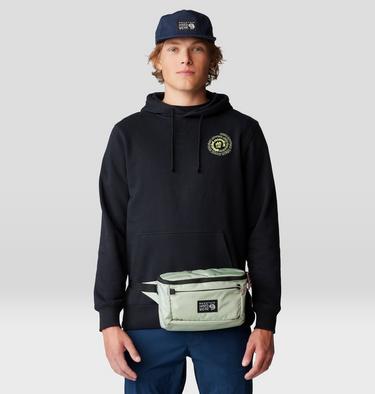 Camp 4 Hip Pack, Color: Cactus White, image 8